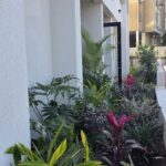 WhatsApp Image 2026-03-26 at 16.49.07